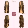 SHair Long Curly Wig with Brown Highlights & White Tips
